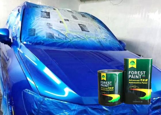 2 Pack High Gloss Automotive Refinish Paint Anti Rust Paint For Car