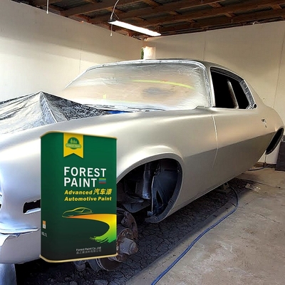 1L/Tin Bluish Silver Car Paint