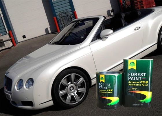 2k Gloss Car Paint Correction