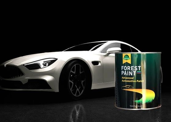 2k Gloss Car Paint Correction