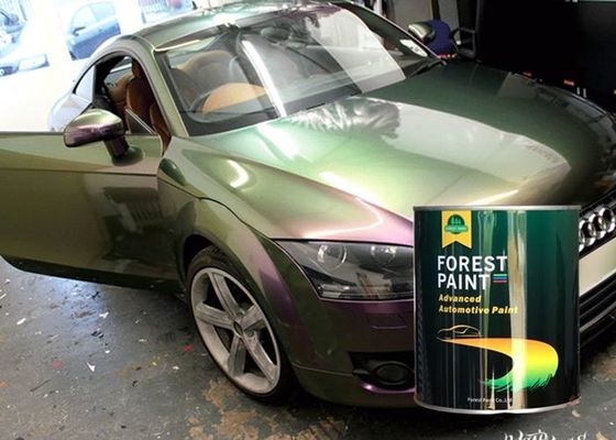 2 Pack High Gloss Automotive Refinish Paint Anti Rust Paint For Car