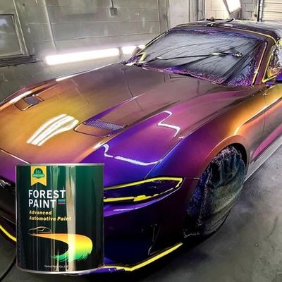 Anti Scratch 2K Acrylic Car Paint Use For Repairing Car High Hardness FP2K-M2109292